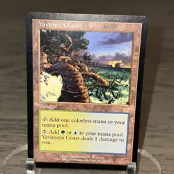 Yavimaya Coast 143/143 Apocalypse Magic the Gathering MTG LP (D) - Image 3