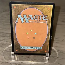 Yavimaya Coast 143/143 Apocalypse Magic the Gathering MTG LP (D) - Image 5