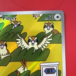 Pokemon TCG Pidgey 207/197 SV03: Obsidian Flames Illustration Rare Holo M/NM🔥 - Image 4