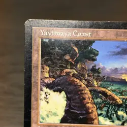 Yavimaya Coast 143/143 Apocalypse Magic the Gathering MTG LP/MP (A) - Image 3