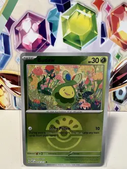 Budew 016/217 Common Poke Ball Reverse Holo - Pokemon TCG Ascended Heroes - NM - Image 1
