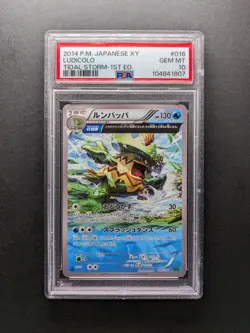 PSA 10 - 2014 Pokemon LUDICOLO - XY5 016/070 U - 1st Edition - Japanese XY - Image 1