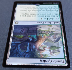 Temple Garden | NM | MTG Lorywn Eclipsed - Forest Plain Land - Image 3