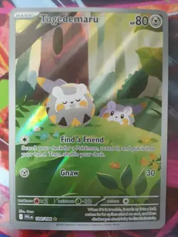 Pokemon TCG: Togedemaru (104/094) Illustration Rare -- Mega: Phantasmal Flames - Image 1