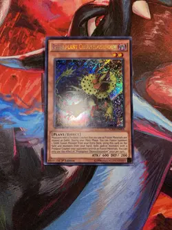 Yugioh! Predaplant Chlamydosundew FUEN-EN005 Secret Rare 1st Edition LP - Image 1