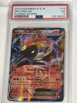 2012 Pokemon BW Moltres Plasma Storm PSA 5 Graded Card Holo Rare Collect Pokemon - Image 1
