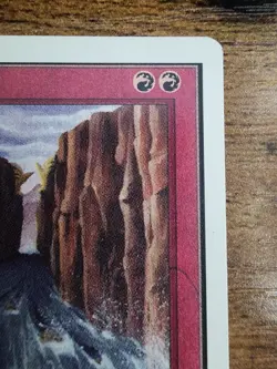 MTG ⭐Raging River⭐ UNLIMITED ⭐VLP+/NM⭐ ⭐10 Real HQ pics ⭐1993 Vintage Magic - Image 4