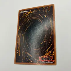 Blue-Eyes Toon Dragon SDP-020 Starter Deck Pegasus Yugioh TCG - LP/MP - Image 4