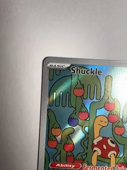 Shuckle 136/132 Illustration Rare ME01: Mega Evolution Pokemon TCG NM - Image 5
