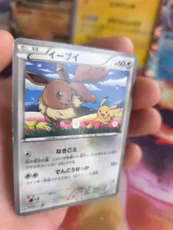 Pokemon Karte Card Holo Eevee Evoli Pikachu BW Promo Black White japanese VG - Image 2