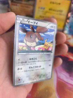 Pokemon Karte Card Holo Eevee Evoli Pikachu BW Promo Black White japanese VG - Image 3