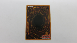 ASH BLOSSOM & JOYOUS SPRING 1ST MP22-EN257 PRISMATIC SECRET YUGIOH NM UNPLAYED - Image 2