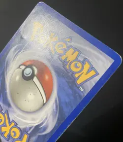 Poochyena 80/110 Holon Phantoms Regular *DAMAGED* Pokemon Card - Image 5