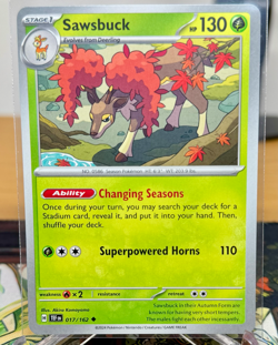 Sawsbuck 017/162 Regular NM Pokemon Cards | SV05: Temporal Forces (TEF) Set - Image 1