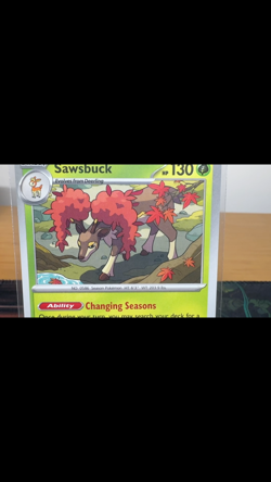 Sawsbuck 017/162 Regular NM Pokemon Cards | SV05: Temporal Forces (TEF) Set - Image 2