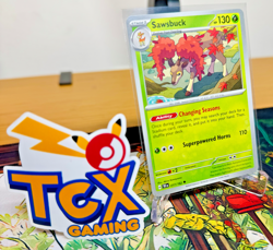 Sawsbuck 017/162 Regular NM Pokemon Cards | SV05: Temporal Forces (TEF) Set - Image 4