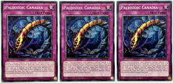 3 x TDIL-EN097 Paleozoic Canadia - Common 1st Edition Near Mint YuGiOh Cards - Image 1