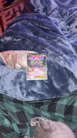 Mega Zygarde EX Pokemon TCG Holo Dragon Type Card 029/068 English Basic 310 HP - Image 2