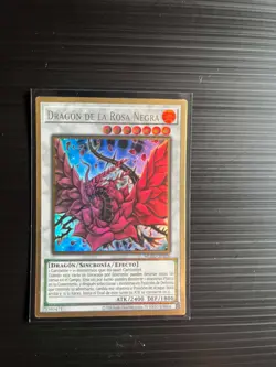 Yu-Gi-Oh Black Rose Dragon MGED-SP026 Premium Gold Rare Spanish NM - Image 1
