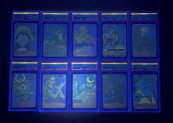 (PSA 10) One Piece TCG Premium Card Collection 25th Anniv. Set (Sequential No.) - Image 3