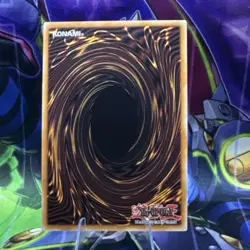 Yugioh Dracotail Mululu JUSH-EN005 1st Ed Collectors Rare LP - Image 2