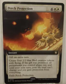 MTG / Perch Protection / BLC / #47 / Regular (Extended Art) / Rare / NM - Image 1