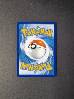 GG33/GG70 Poochyena Crown Zenith Galarian Gallery Sword Shield Pokemon Card TCG - Image 2