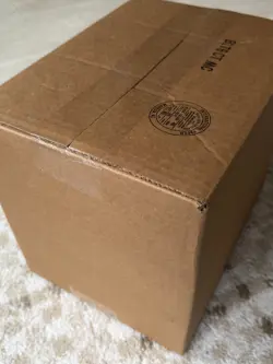 Pokemon TCG: Mega Kangaskhan ex Box ✅✅✅ 6-Box Factory Sealed Case ✅✅✅ - Image 4