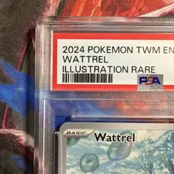 Pokemon TCG Wattrel Card Twilight Masquerade 178/167 - Image 5