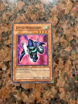 Little-Winguard DCR-013 Dark Crisis 1st Edition - Image 1