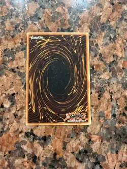 Little-Winguard DCR-013 Dark Crisis 1st Edition - Image 2