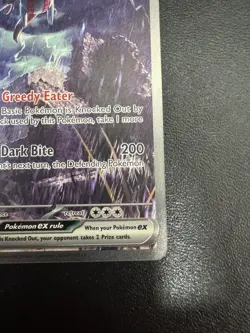 Pokemon Hydreigon EX 169/086 White Flare Special Illustration Rare 2025 - Image 5