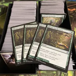 MTG ZNR Zendikar Rising Common/Uncommon Playset - Image 3