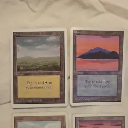 20 MTG Lot of Unlimited Basic Lands Mixed Condition - LP/MP & HP/Damaged - Image 2