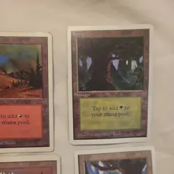 20 MTG Lot of Unlimited Basic Lands Mixed Condition - LP/MP & HP/Damaged - Image 4