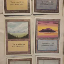 20 MTG Lot of Unlimited Basic Lands Mixed Condition - LP/MP & HP/Damaged - Image 5