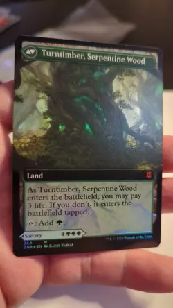 1x Turntimber Symbiosis Foil Extended Art - ZNR EDH Modern Magic MTG x1 - Image 2