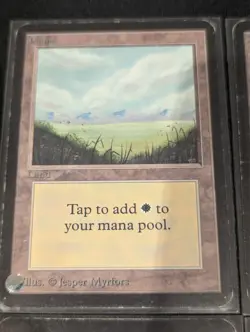 Plains x4 - Alpha - Land - LP - MTG - Magic the Gathering - Basic Land - Image 2