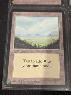 Plains x4 - Alpha - Land - LP - MTG - Magic the Gathering - Basic Land - Image 4
