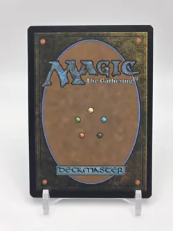 Hallowed Fountain 0265 Regular Rare - Magic The Gathering ECL Lorwyn Eclipsed - Image 2