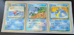 POKEMON JAPANESE SOUTHERN TROPICAL MARILL ISLAND BEACH 3 CARD SET USED - Image 2