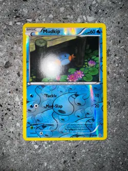 Pokemon TCG Cards Mudkip 33/160 Primal Clash Reverse Holo NM-M - Image 3