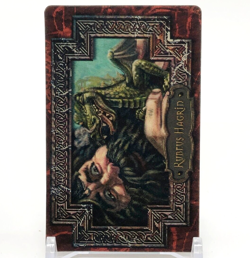 Rubeus Hagrid Harry Potter Chocolate Frog Card Japanese USJ Warner Bros d - Image 1