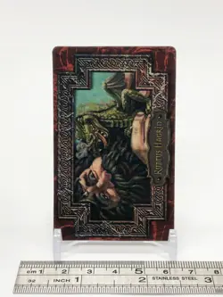 Rubeus Hagrid Harry Potter Chocolate Frog Card Japanese USJ Warner Bros d - Image 2