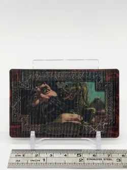 Rubeus Hagrid Harry Potter Chocolate Frog Card Japanese USJ Warner Bros d - Image 3