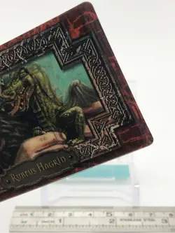 Rubeus Hagrid Harry Potter Chocolate Frog Card Japanese USJ Warner Bros d - Image 4
