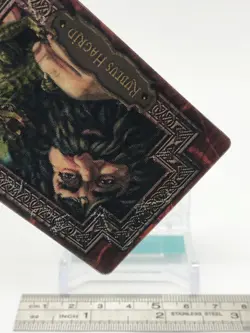 Rubeus Hagrid Harry Potter Chocolate Frog Card Japanese USJ Warner Bros d - Image 5