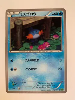 Pokemon Card / Carte Mudkip 012/070 XY5 ( Tidal Storm ) - Image 1