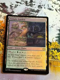 Temple Garden Mtg Foil Lorwyn Eclipsed - Image 5