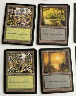 MTG NM 110 Mirage Land Lot: Swamp, Island ,Forest, Mountain, Plains - Image 5